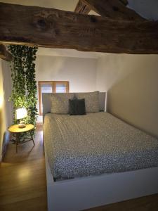 Joli duplex en plein cœur du centre ville