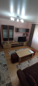 Cool Apartment Radauti