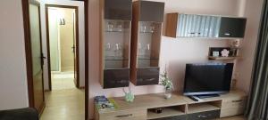 Cool Apartment Radauti