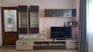 Cool Apartment Radauti