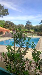 Campings Camping Des Mimosas : photos des chambres
