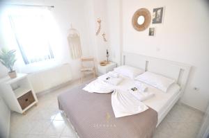 Zennova #64 Casa Elias