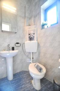 Zennova #64 Casa Elias