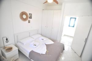 Zennova #64 Casa Elias