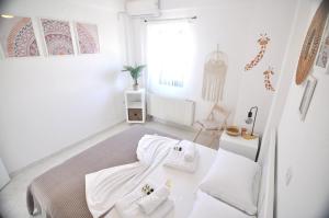 Zennova #64 Casa Elias