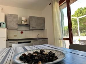 Appartamenti vacanze Aragosta