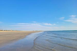 Tipozimmo-Le Grand Grand 210 -view and direct access to the sea-pets accep