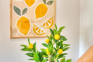 Appartements Le Pastel - Cosy Appart - metro B - 1 a 4 personnes : photos des chambres