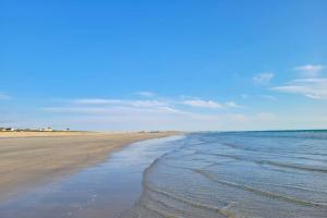 Tipozimmo-Le Grand Grand 209 -view and direct access to the sea-pets accep