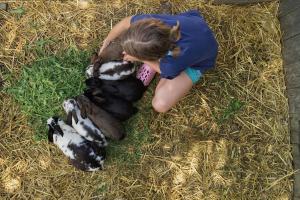 Löschgruberhof - Urlaub am Bauernhof