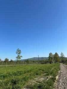 Căsuța de la munte