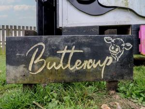 Buttercup Cow Shed 3