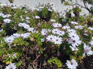 High Sanlúcar-Aparcamiento incluído