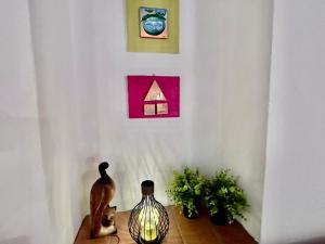 Casa Armonia - Elba Affitti