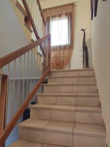 Wilma House