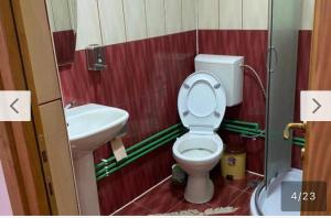 Camere de închiriat Floarea Reginei