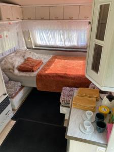 Nature Escape at Karula Stay - Camper, Treetent & SUPs included