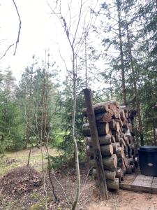 Karula Stay - Exclusive Lakeside Camper & Floating Treetent Experience