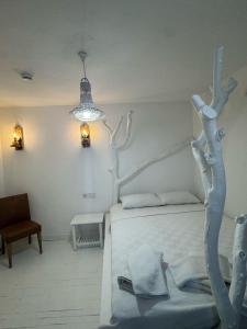 1881 Otel