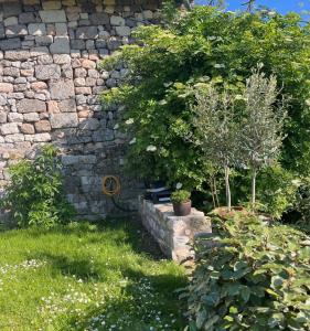Maisons de vacances Les vins de Rouyre - Maison, 4 pers, grand jardin, bain nordique : photos des chambres