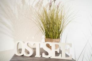 Oldenburger Straße 28 Carpe Diem Grömitz