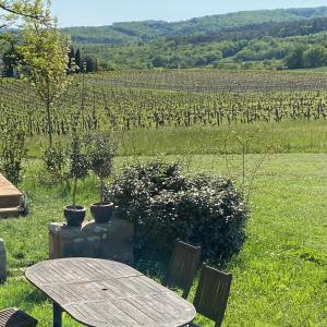 Maisons de vacances Les vins de Rouyre - Maison, 4 pers, grand jardin, bain nordique : photos des chambres