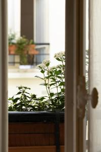 Hotels Hotel Clement : Chambre Classique