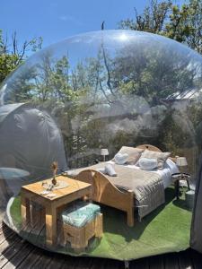 Bulle transparente