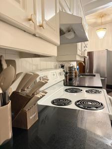 Authentic Spacious 1BDR In Downtown Montreal