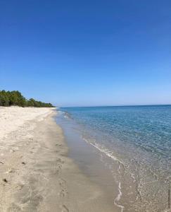 Maisons de vacances Villa mina : photos des chambres