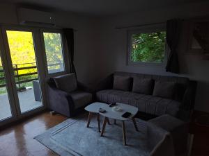 Vila Tea Borsko Jezero