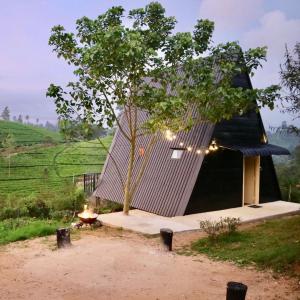 The ZenDen