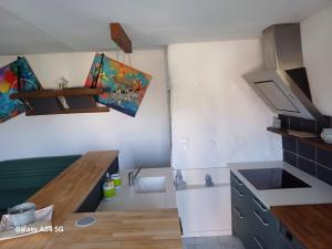 Appartements Les roches du Donjon : photos des chambres