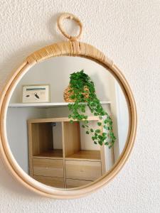 Aurénoë à Carnac Plage