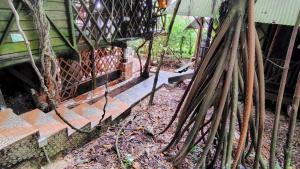 Paraíso Ayahuasca Hotel & Tours