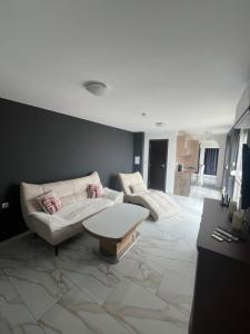 Modern Penthouse Apartment with full Sea View K&R