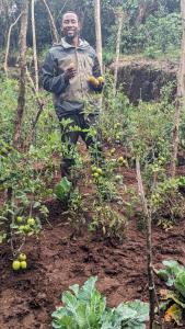 Barangata collections