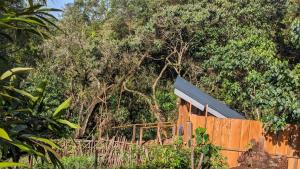 Barangata collections