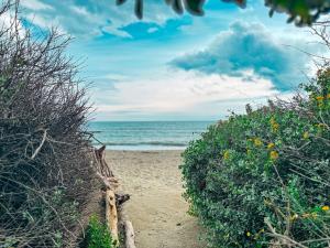 Escale aux tropiques - Vue mer
