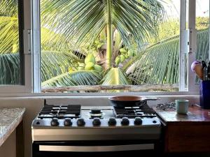 Penthouse - SolSurf House Mita