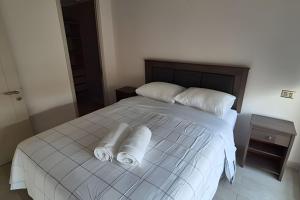 VR | Santiago Centro 4PAX, metro, wifi, lujoso y decoración exquisita