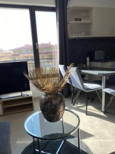 Apartment mit Meeresblick Polarstar Beach 2 Zimmer Premium Apartment