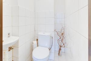 Chic and Modern Apartments