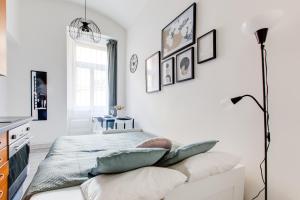 Chic and Modern Apartments