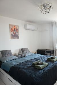 Duna Panorama -two-bedroom apartment with terrace
