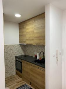 Apartman Vasa