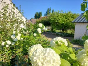 Maisons de vacances Maison climatisee - Beauval et Chateaux : Maison 3 Chambres
