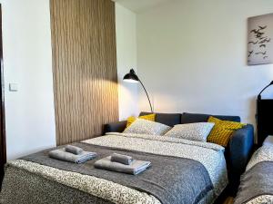 ADM Historic Center Apartment - FREE PARKING, Netflix