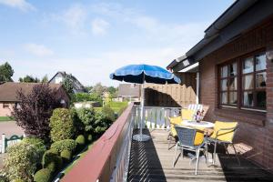 Ostseegarten Hainbuche