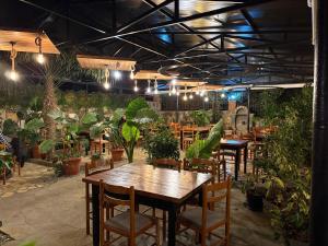 Salillari Guest house & Restaurant